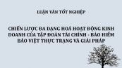 Luận văn: Chiến lược đa dạng hoá hoạt động kinh doanh của tập đoàn tài chính - bảo hiểm Bảo Việt Thực trạng và giải pháp