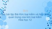 Giải bài tập SGK Hóa 12 Bài 25: Kim loại kiềm và hợp chất quan trọng của kim loại kiềm