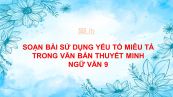 Luyện tập sử dụng yếu tố miêu tả trong văn bản thuyết minh Ngữ văn 9