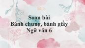 Soạn bài Bánh chưng, bánh giầy siêu ngắn