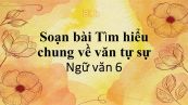 Soạn bài Tìm hiểu chung về văn tự sự đầy đủ