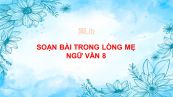 Soạn bài Trong lòng mẹ Ngữ văn 8 tóm tắt