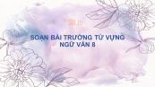 Soạn bài Trường từ vựng Ngữ văn 8 tóm tắt