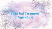 Soạn bài Từ mượn Ngữ văn 6 đầy đủ