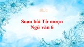 Soạn bài Từ mượn Ngữ văn 6 siêu ngắn