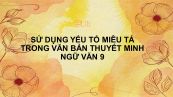 Sử dụng yếu tố miêu tả trong văn bản thuyết minh Văn 9