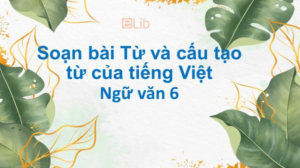 Soạn bài Từ và cấu tạo từ của tiếng Việt tóm tắt