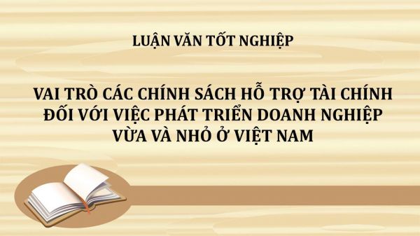 Luận văn: Vai trò các chính sách hỗ trợ tài chính đối với việc phát triển doanh nghiệp vừa và nhỏ ở Việt Nam