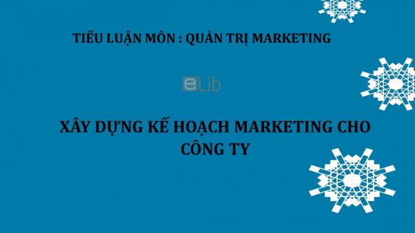 Tiểu luận: Xây dựng kế hoạch marketing cho công ty