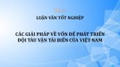 Luận văn: Các giải pháp về vốn để phát triển đội tàu vận tải biển của Việt Nam