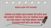 Luận văn: Đánh giá hiệu quả kinh tế giữa hai mô hình trồng lúa và trồng rau tại xã Tân Nhựt, huyện Bình Chánh, thành phố Hồ Chí Minh