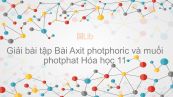 Giải bài tập SGK Hóa 11 Bài 11: Axit photphoric và muối photphat