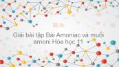 Giải bài tập SGK Hóa 11 Bài 8: Amoniac và muối amoni