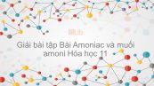 Giải bài tập SGK Hóa 11 Bài 8: Amoniac và muối amoni
