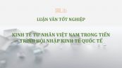 Luận văn: Kinh tế tư nhân Việt Nam trong tiến trình hội nhập kinh tế quốc tế