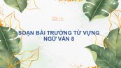 Soạn bài Trường từ vựng Ngữ Văn 8 siêu ngắn