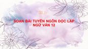 Soạn bài Tuyên ngôn độc lập phần 2- Tác phẩm Ngữ văn 12 đầy đủ