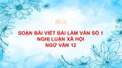 Soạn bài Viết bài làm văn số 1: Nghị luận xã hội Ngữ văn 12 đầy đủ
