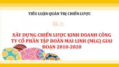 Tiểu luận: Xây dựng chiến lược kinh doanh Công ty cổ phần Tập đoàn Mai Linh giai đoạn 2010-2020