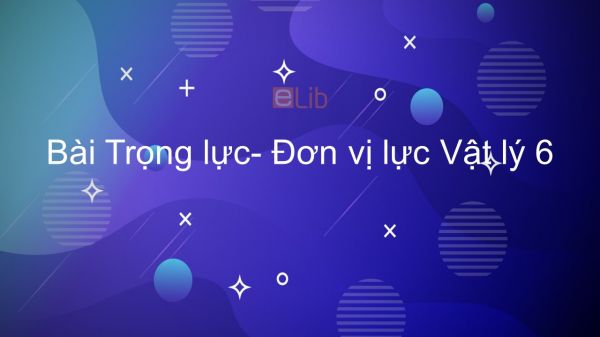 Lý 6 Bài 8: Trọng lực- Đơn vị lực