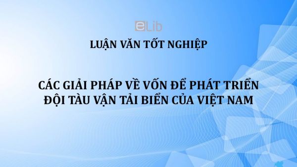 Luận văn: Các giải pháp về vốn để phát triển đội tàu vận tải biển của Việt Nam