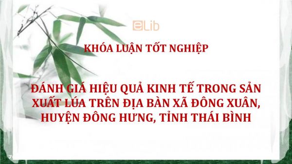 Luận văn: Đánh giá hiệu quả kinh tế trong sản xuất lúa trên địa bàn xã Đông Xuân, huyện Đông Hưng, tỉnh Thái Bình