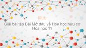 Giải bài tập SGK Hóa 11 Bài 20: Mở đầu về hóa học hữu cơ
