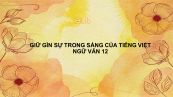 Giữ gìn sự trong sáng của tiếng Việt( tiếp theo) Ngữ văn 12 đầy đủ