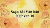 Soạn bài Văn bản (tt) Ngữ văn 10 đầy đủ