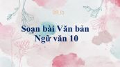 Soạn bài Văn bản (tt) Ngữ văn 10 siêu ngắn