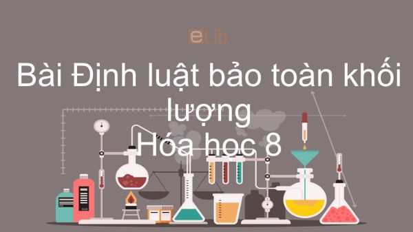 Hoá học 8 Bài 15: Định luật bảo toàn khối lượng