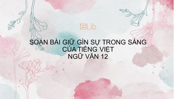 Soạn bài Giữ gìn sự trong sáng của tiếng Việt ( tiếp theo) Ngữ văn 12 đầy đủ
