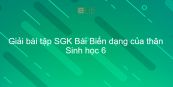 Giải bài tập SGK Sinh học 6 Bài 18: Biến dạng của thân