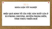 Luận văn: Hiệu quả kinh tế của việc sản xuất lúa ở xã Phong Chương, huyện Phong Điền, Tỉnh Thừa Thiên Huế
