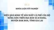 Luận văn: Hiệu quả kinh tế sản xuất cà phê của hộ nông dân trên địa bàn xã K’Dang, huyện Đak Đoa, tỉnh Gia Lai