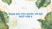 Soạn bài Tức nước vỡ bờ Ngữ văn 8 đầy đủ