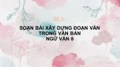 Soạn bài  Xây dựng đoạn văn trong văn bản Ngữ văn 8 đầy đủ