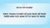 Luận văn: Thực trạng và một số giải pháp để phát triển khu vực kinh tế tư bản tư nhân