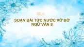 Soạn bài Tức nước vỡ bờ Ngữ văn 8 siêu ngắn