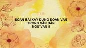 Soạn bài Xây dựng đoạn văn trong văn bản Ngữ văn 8 tóm tắt