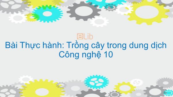 Công nghệ 10 Bài 14: Thực hành: Trồng cây trong dung dịch