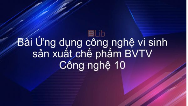 Công nghệ 10 Bài 20: Ứng dụng công nghệ vi sinh sản xuất chế phẩm BVTV