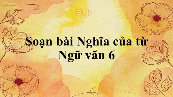 Soạn bài Nghĩa của từ Ngữ văn 6 đầy đủ