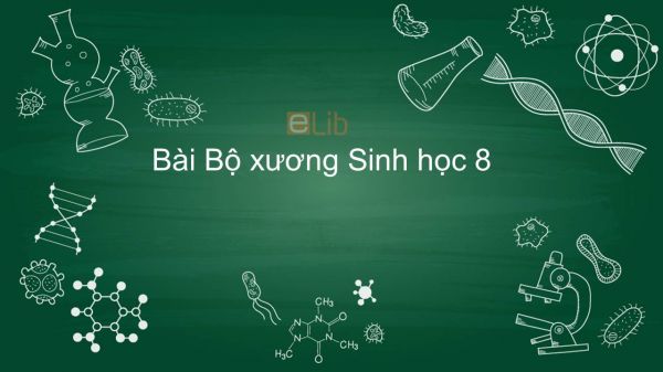 Sinh học 8 Bài 7: Bộ Xương