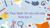 Sinh học 8 Bài 19: Thực hành: Sơ cứu cầm máu