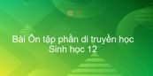 Sinh học 12 Bài 23: Ôn tập phần di truyền học