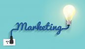 Quản trị Marketing là gì?