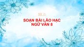 Soạn bài Lão Hạc đầy đủ