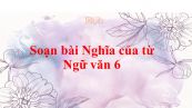 Soạn bài Nghĩa của từ Ngữ văn 6 siêu ngắn