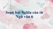 Soạn bài Nghĩa của từ Ngữ văn 6 tóm tắt